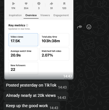 Client sharing TikTok analytics — nearly 20k views